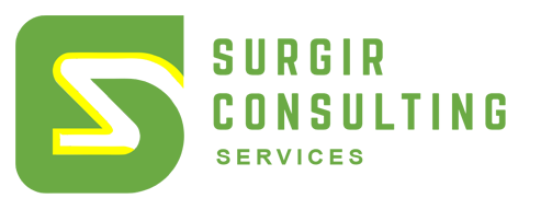 Surgir Consulting Services